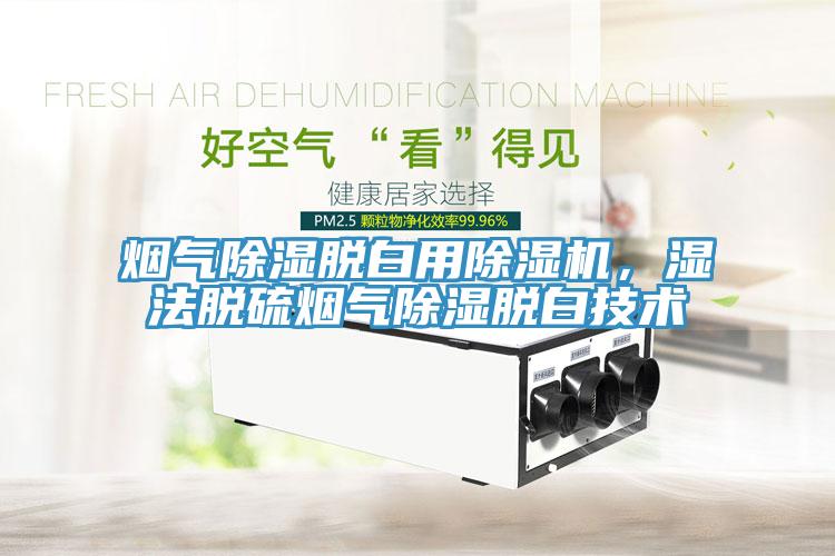煙氣除濕脫白用除濕機，濕法脫硫煙氣除濕脫白技術(shù)