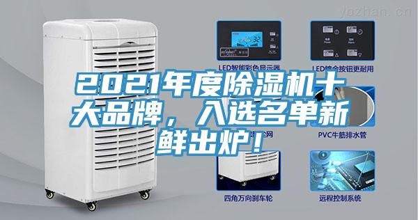 2021年度除濕機十大品牌，入選名單新鮮出爐！