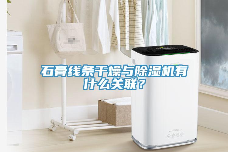石膏線條干燥與除濕機(jī)有什么關(guān)聯(lián)？