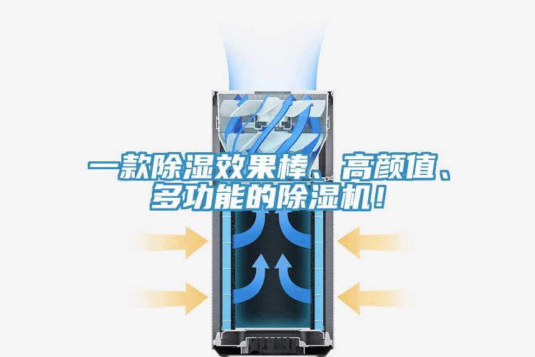 一款除濕效果棒、高顏值、多功能的除濕機！