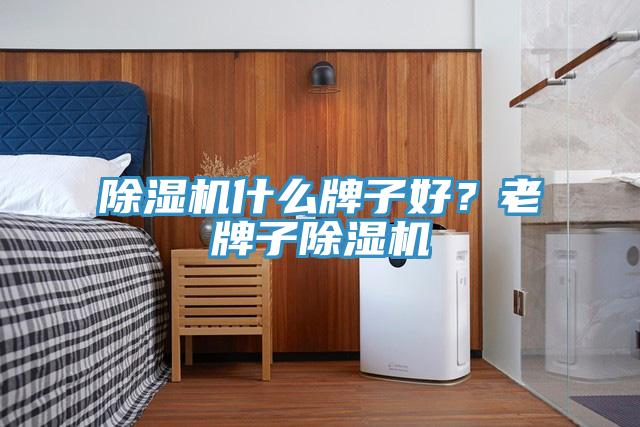 除濕機(jī)什么牌子好？老牌子除濕機(jī)
