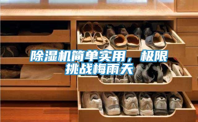 除濕機簡單實用，極限挑戰(zhàn)梅雨天