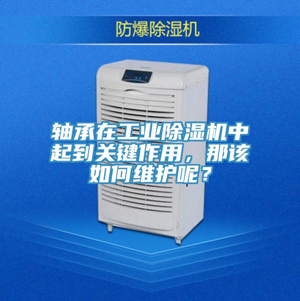 軸承在工業(yè)除濕機(jī)中起到關(guān)鍵作用，那該如何維護(hù)呢？