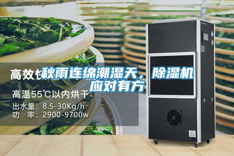 秋雨連綿潮濕天，除濕機(jī)應(yīng)對(duì)有方