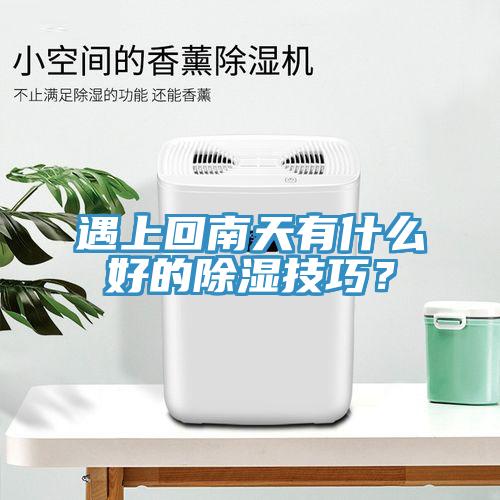 遇上回南天有什么好的除濕技巧？