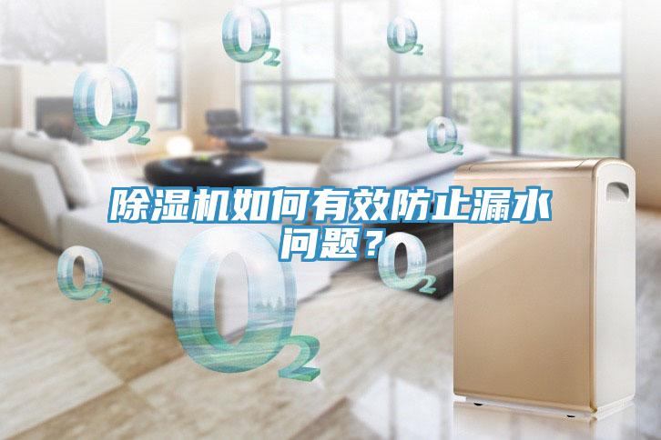 除濕機(jī)如何有效防止漏水問(wèn)題？