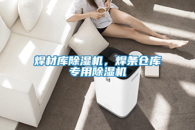 焊材庫(kù)除濕機(jī)，焊條倉(cāng)庫(kù)專(zhuān)用除濕機(jī)
