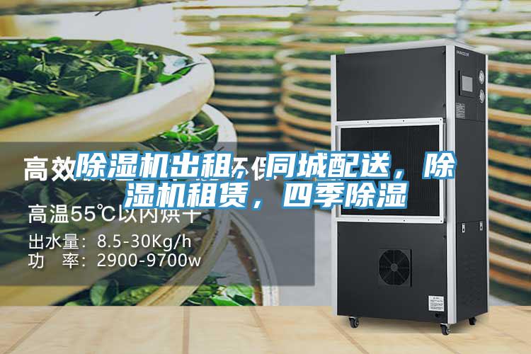 除濕機(jī)出租，同城配送，除濕機(jī)租賃，四季除濕