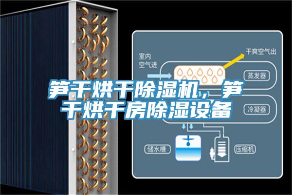 筍干烘干除濕機，筍干烘干房除濕設(shè)備