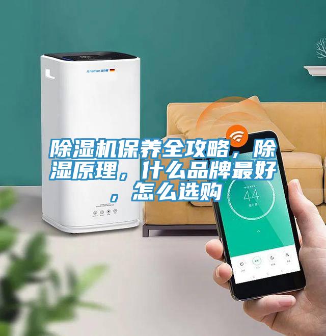 除濕機保養(yǎng)全攻略，除濕原理，什么品牌最好，怎么選購