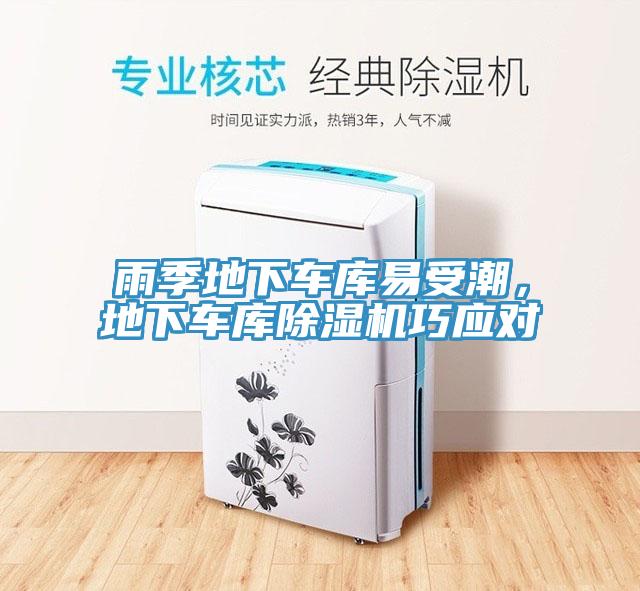雨季地下車庫(kù)易受潮，地下車庫(kù)除濕機(jī)巧應(yīng)對(duì)