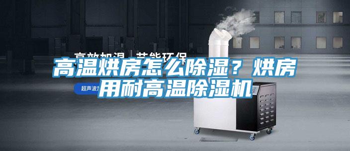 高溫烘房怎么除濕？烘房用耐高溫除濕機(jī)