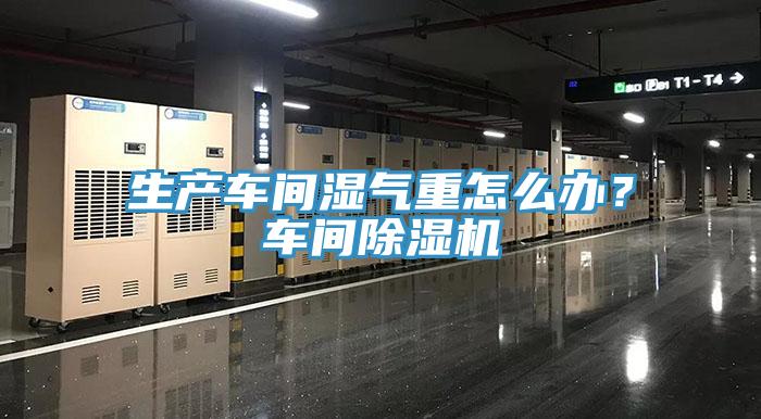 生產(chǎn)車間濕氣重怎么辦？車間除濕機(jī)
