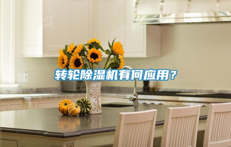 轉(zhuǎn)輪除濕機(jī)有何應(yīng)用？