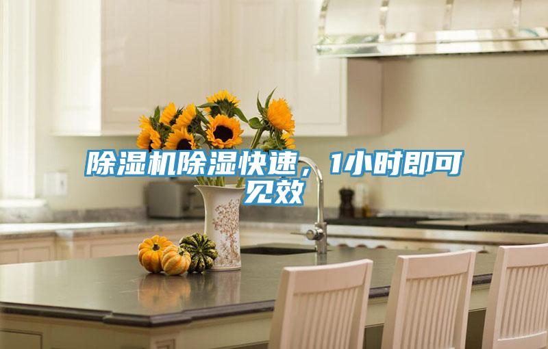 除濕機(jī)除濕快速，1小時(shí)即可見(jiàn)效