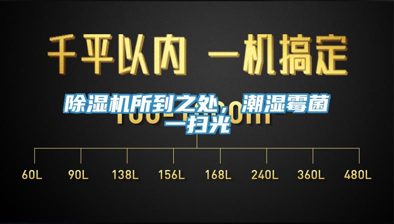 除濕機(jī)所到之處，潮濕霉菌一掃光