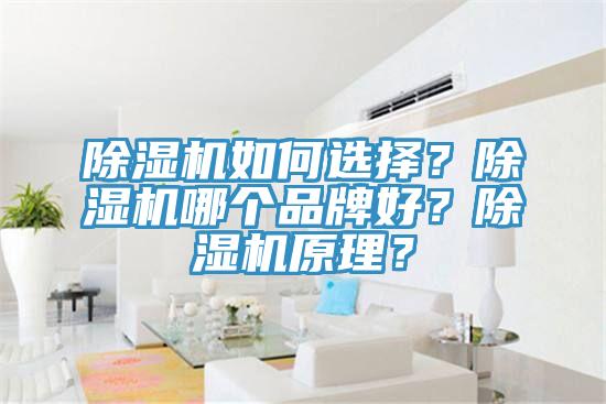 除濕機(jī)如何選擇？除濕機(jī)哪個(gè)品牌好？除濕機(jī)原理？
