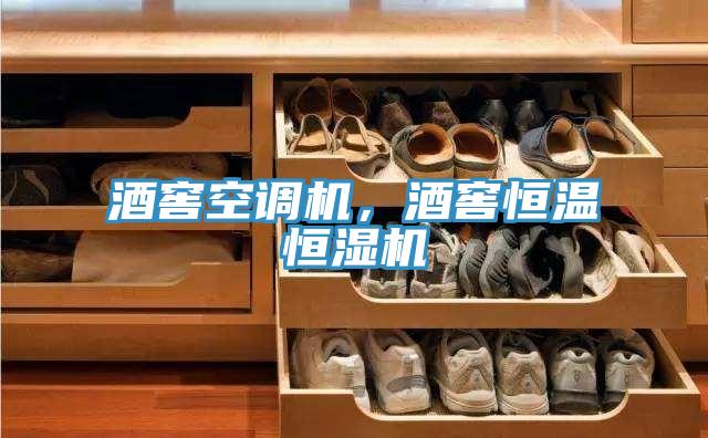 酒窖空調(diào)機(jī)，酒窖恒溫恒濕機(jī)