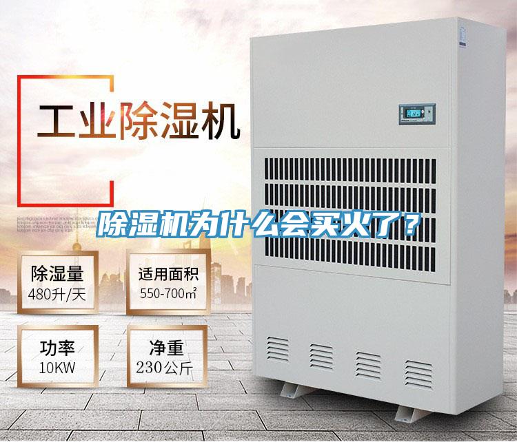 除濕機為什么會買火了？