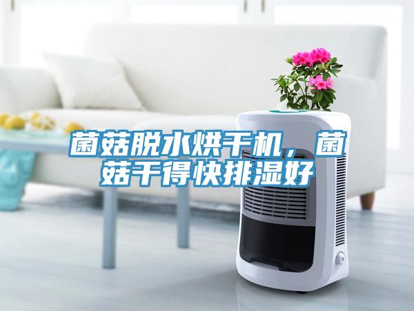 菌菇脫水烘干機，菌菇干得快排濕好