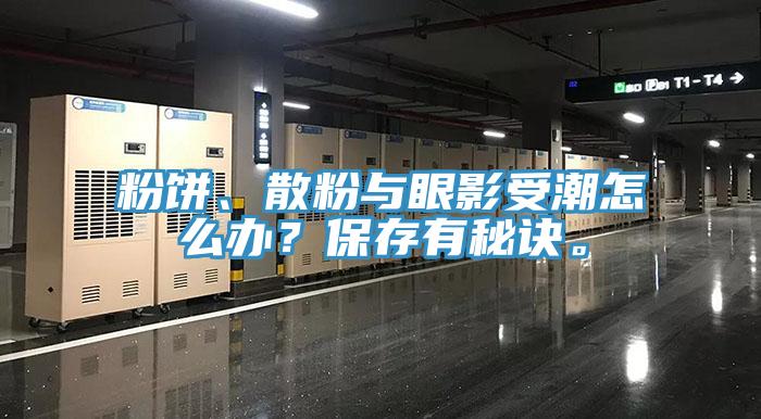 粉餅、散粉與眼影受潮怎么辦？保存有秘訣。