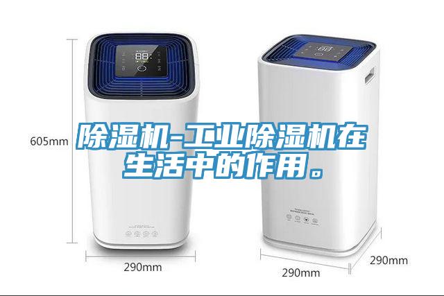 除濕機(jī)-工業(yè)除濕機(jī)在生活中的作用。