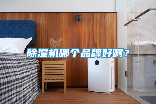除濕機哪個品牌好??？