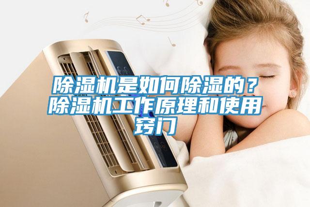 除濕機(jī)是如何除濕的？除濕機(jī)工作原理和使用竅門