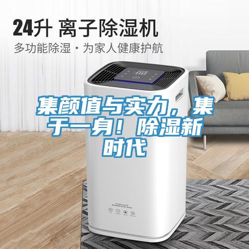 集顏值與實(shí)力，集于一身！除濕新時(shí)代