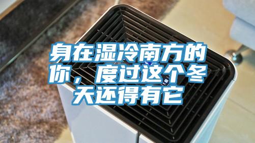 身在濕冷南方的你，度過(guò)這個(gè)冬天還得有它