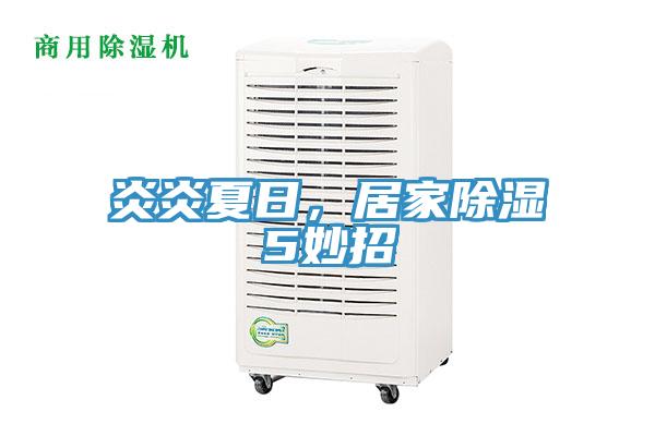 炎炎夏日，居家除濕5妙招