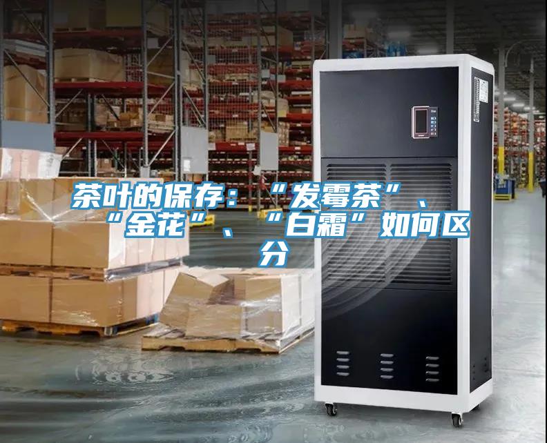茶葉的保存：“發(fā)霉茶”、“金花”、“白霜”如何區(qū)分