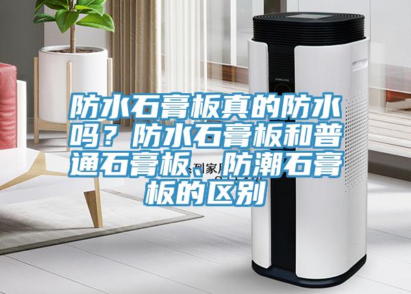 防水石膏板真的防水嗎？防水石膏板和普通石膏板、防潮石膏板的區(qū)別