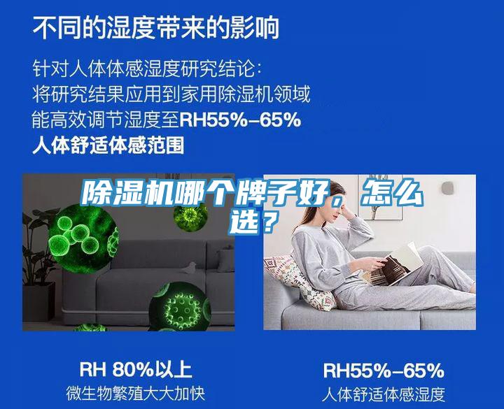 除濕機哪個牌子好，怎么選？