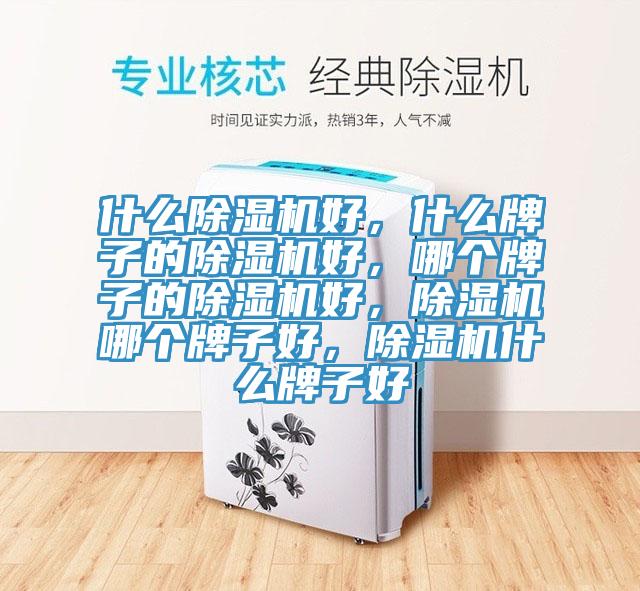 什么除濕機好，什么牌子的除濕機好，哪個牌子的除濕機好，除濕機哪個牌子好，除濕機什么牌子好