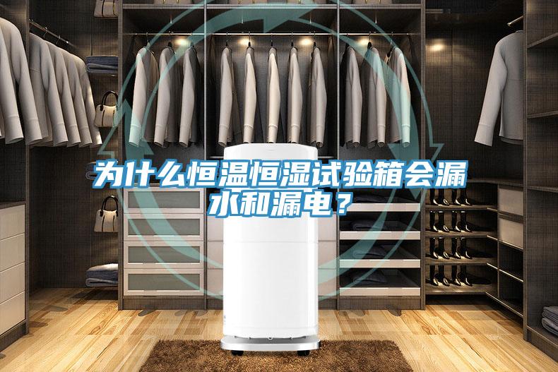 為什么恒溫恒濕試驗(yàn)箱會(huì)漏水和漏電？