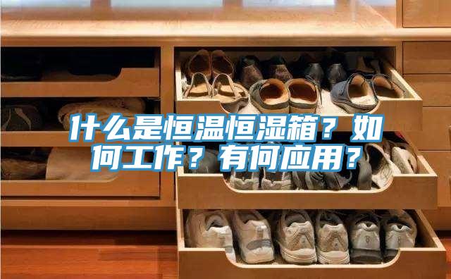 什么是恒溫恒濕箱？如何工作？有何應用？