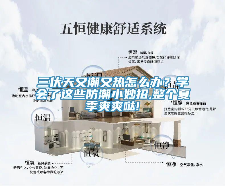 三伏天又潮又熱怎么辦？學會了這些防潮小妙招,整個夏季爽爽噠!