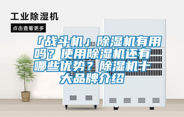 「戰(zhàn)斗機(jī)」除濕機(jī)有用嗎？使用除濕機(jī)還有哪些優(yōu)勢？除濕機(jī)十大品牌介紹