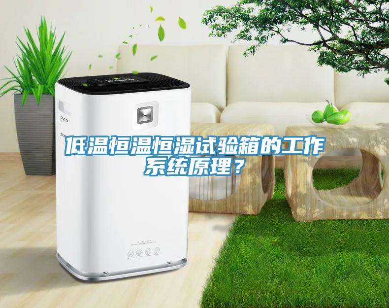 低溫恒溫恒濕試驗(yàn)箱的工作系統(tǒng)原理？