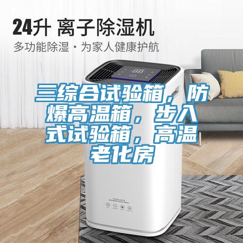 三綜合試驗(yàn)箱，防爆高溫箱，步入式試驗(yàn)箱，高溫老化房