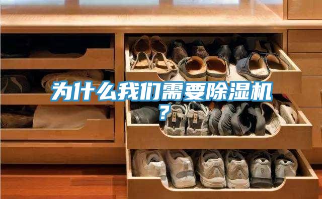 為什么我們需要除濕機(jī)？
