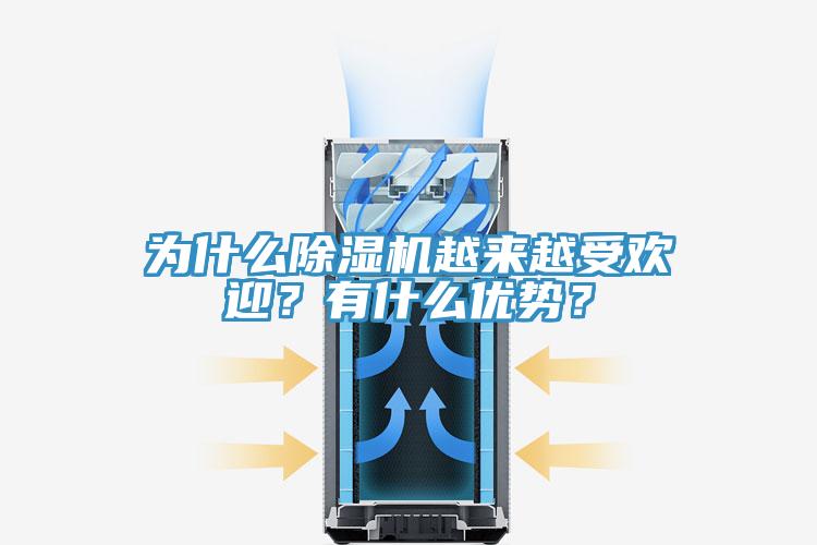 為什么除濕機(jī)越來越受歡迎？有什么優(yōu)勢？
