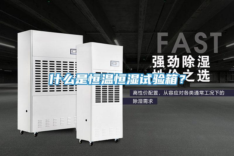 什么是恒溫恒濕試驗箱？