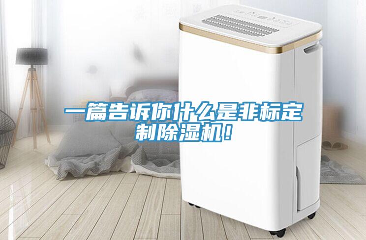 一篇告訴你什么是非標(biāo)定制除濕機(jī)！
