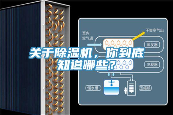關(guān)于除濕機(jī)，你到底知道哪些？