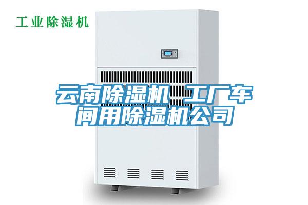 云南除濕機(jī) 工廠(chǎng)車(chē)間用除濕機(jī)公司