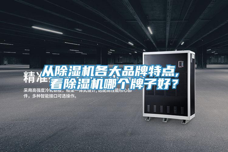 從除濕機(jī)各大品牌特點, 看除濕機(jī)哪個牌子好？