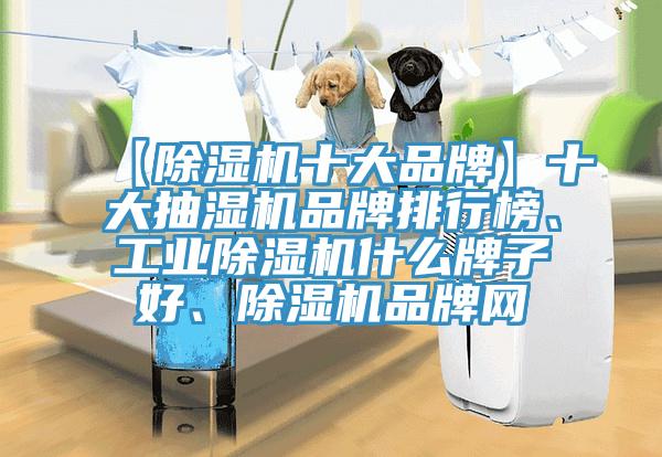 【除濕機(jī)十大品牌】十大抽濕機(jī)品牌排行榜、工業(yè)除濕機(jī)什么牌子好、除濕機(jī)品牌網(wǎng)