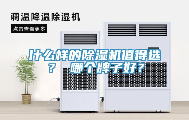 什么樣的除濕機值得選？ 哪個牌子好？